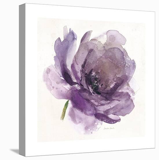 Watery Plum Bloom 1-Sandra Smith-Stretched Canvas