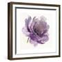 Watery Plum Bloom 1-Sandra Smith-Framed Art Print