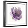 Watery Plum Bloom 1-Sandra Smith-Framed Art Print