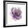 Watery Plum Bloom 1-Sandra Smith-Framed Art Print