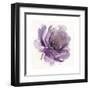 Watery Plum Bloom 1-Sandra Smith-Framed Art Print