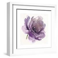 Watery Plum Bloom 1-Sandra Smith-Framed Art Print