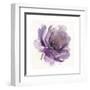 Watery Plum Bloom 1-Sandra Smith-Framed Art Print