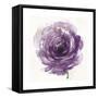 Watery Plum Bloom 2-Sandra Smith-Framed Stretched Canvas