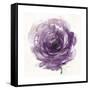 Watery Plum Bloom 2-Sandra Smith-Framed Stretched Canvas