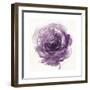 Watery Plum Bloom 2-Sandra Smith-Framed Art Print