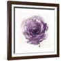 Watery Plum Bloom 2-Sandra Smith-Framed Art Print