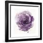 Watery Plum Bloom 2-Sandra Smith-Framed Art Print