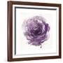 Watery Plum Bloom 2-Sandra Smith-Framed Art Print