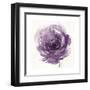 Watery Plum Bloom 2-Sandra Smith-Framed Art Print