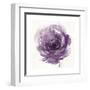Watery Plum Bloom 2-Sandra Smith-Framed Art Print