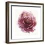 Watery Red Bloom 1-Sandra Smith-Framed Art Print