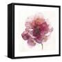 Watery Red Bloom 2-Sandra Smith-Framed Stretched Canvas