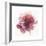 Watery Red Bloom 2-Sandra Smith-Framed Art Print