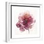 Watery Red Bloom 2-Sandra Smith-Framed Art Print