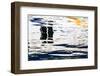 Watery Window-Ursula Abresch-Framed Photographic Print