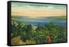 Watkins Glen, New York - Seneca Lake View-Lantern Press-Framed Stretched Canvas