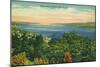 Watkins Glen, New York - Seneca Lake View-Lantern Press-Mounted Art Print