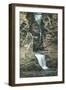 Watkins Glen, New York - State Park View of Curtain and Cavern Cascades-Lantern Press-Framed Art Print