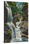 Watkins Glen, New York - View of Rainbow Falls and Bridge-Lantern Press-Stretched Canvas