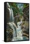 Watkins Glen, New York - View of Rainbow Falls and Bridge-Lantern Press-Framed Stretched Canvas