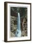 Watkins Glen, New York - View of Spectacular Cavern Cascade-Lantern Press-Framed Art Print