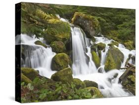 Watson Creek, Oregon, USA-William Sutton-Stretched Canvas