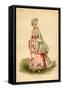 Watteau Fancy Dress Costume-null-Framed Stretched Canvas