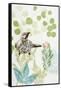 Wattlebird and Pincushion Protea-Trudy Rice-Framed Stretched Canvas