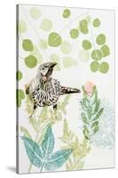 Wattlebird and Pincushion Protea-Trudy Rice-Stretched Canvas