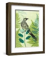 Wattlebird Hiding in the Fernery-Trudy Rice-Framed Art Print