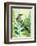 Wattlebird Hiding in the Fernery-Trudy Rice-Framed Art Print