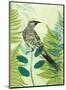 Wattlebird Hiding in the Fernery-Trudy Rice-Mounted Art Print