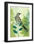 Wattlebird Hiding in the Fernery-Trudy Rice-Framed Art Print