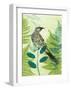 Wattlebird Hiding in the Fernery-Trudy Rice-Framed Art Print