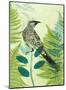 Wattlebird Hiding in the Fernery-Trudy Rice-Mounted Art Print