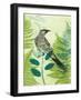 Wattlebird Hiding in the Fernery-Trudy Rice-Framed Art Print