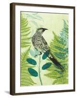 Wattlebird Hiding in the Fernery-Trudy Rice-Framed Art Print