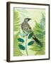 Wattlebird Hiding in the Fernery-Trudy Rice-Framed Art Print