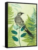 Wattlebird Hiding in the Fernery-Trudy Rice-Framed Stretched Canvas