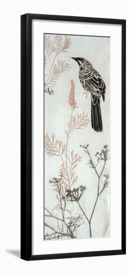 Wattlebird Hovering In My Garden-Trudy Rice-Framed Art Print
