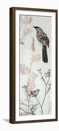 Wattlebird Hovering In My Garden-Trudy Rice-Framed Premium Giclee Print