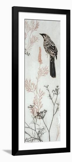 Wattlebird Hovering In My Garden-Trudy Rice-Framed Art Print