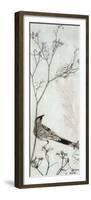 Wattlebird Resting on a Branch-Trudy Rice-Framed Premium Giclee Print
