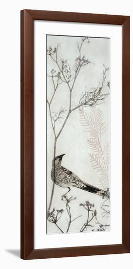 Wattlebird Resting on a Branch-Trudy Rice-Framed Art Print