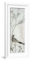 Wattlebird Resting on a Branch-Trudy Rice-Framed Art Print