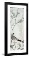 Wattlebird Resting on a Branch-Trudy Rice-Framed Art Print