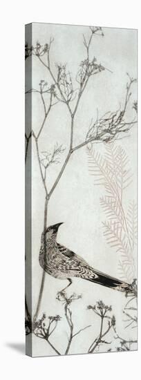 Wattlebird Resting on a Branch-Trudy Rice-Stretched Canvas