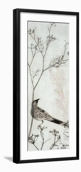 Wattlebird Resting on a Branch-Trudy Rice-Framed Art Print