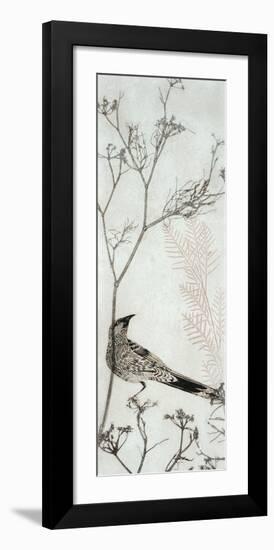 Wattlebird Resting on a Branch-Trudy Rice-Framed Art Print